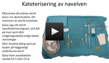 navelVenPreviewPic